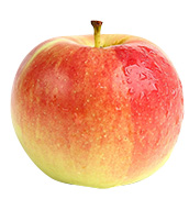 Gala Apple