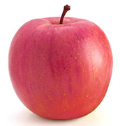 Fuji Apple