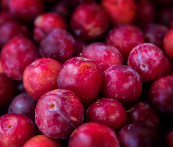 Plum