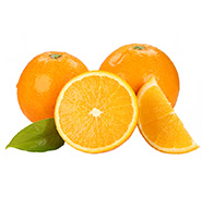 Navel Orange