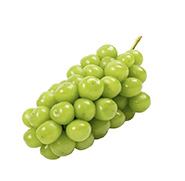 Shine muscat