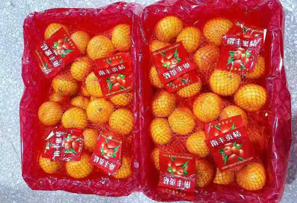 南丰蜜橘1